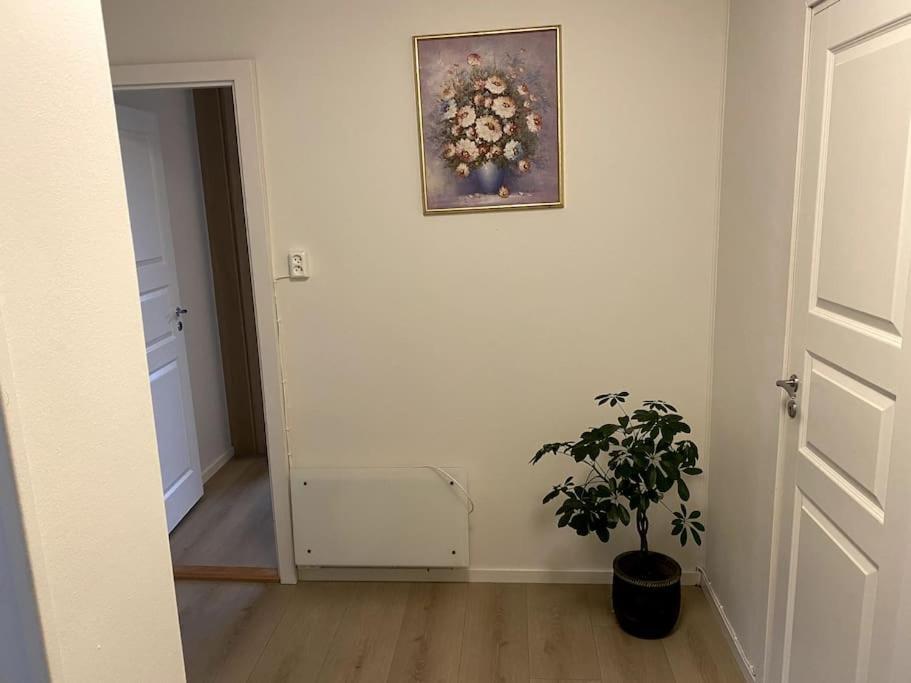 Lovely 2 Bedroom Apartmen With Free Parking Берген Екстериор снимка